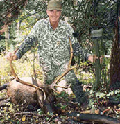 Archery Hunting for Elk in Colorado